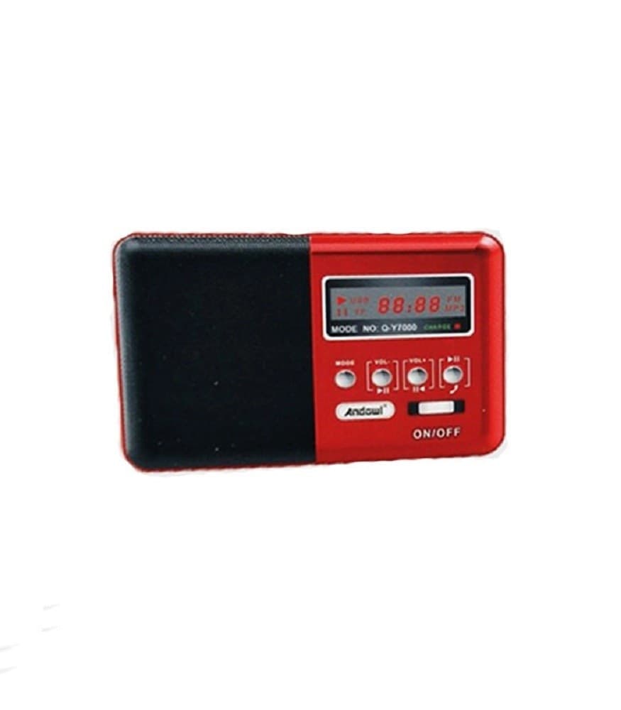 SPEAKER WIRELESS BLUETOOTH RICARICABILE ALTOPARLANTE RADIO FM PORTATILE Q-Y7000 - 3