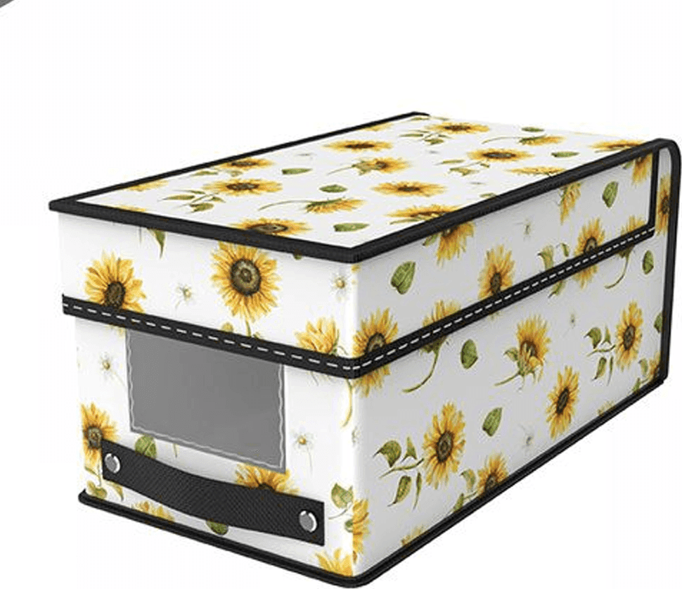 BOX SCATOLA SALVASPAZIO ARMADIO CONTENITORE PORTA OGGETTI ORGANIZER 18x31x15
