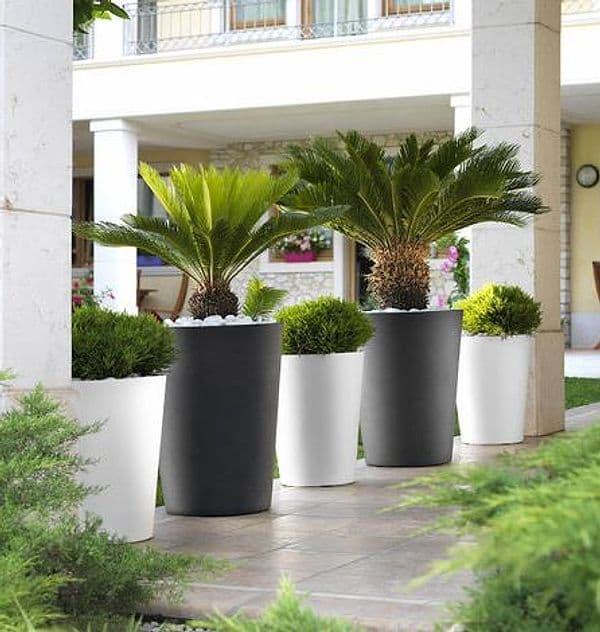 Vaso tondo alto ''Zamora Essential'' in plastica colorati da esterno per piante e fiori in Vasi tradizionali Decor Space - Altamura, commercioVirtuoso.it