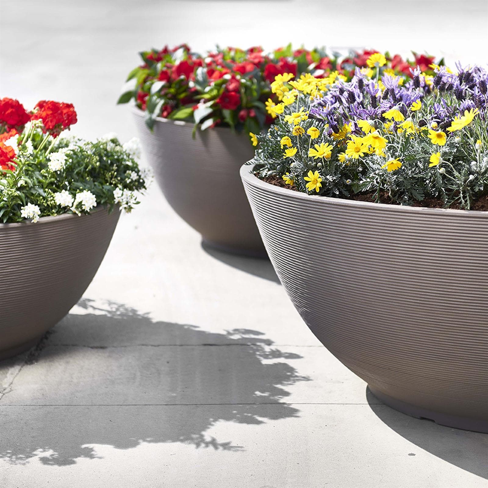 Vaso tondo ''Arena'' in plastica colorati da esterno e giardino per piante e fiori Giardino e giardinaggio/Attrezzi da giardino e attrezzature per l'irrigazione/Vasi e accessori per piante/Vasi tradizionali Decor Space - Altamura, Commerciovirtuoso.it