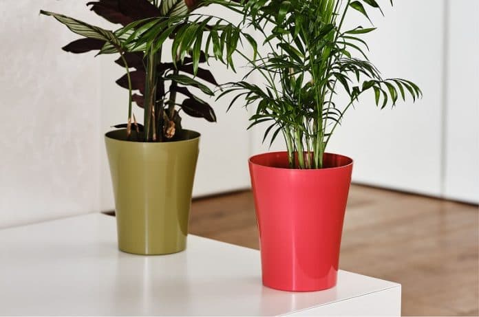 Vaso cilindro "Orchidea colour" per esterno e giardino per piante e fiori in Vasi tradizionali Decor Space - Altamura, commercioVirtuoso.it