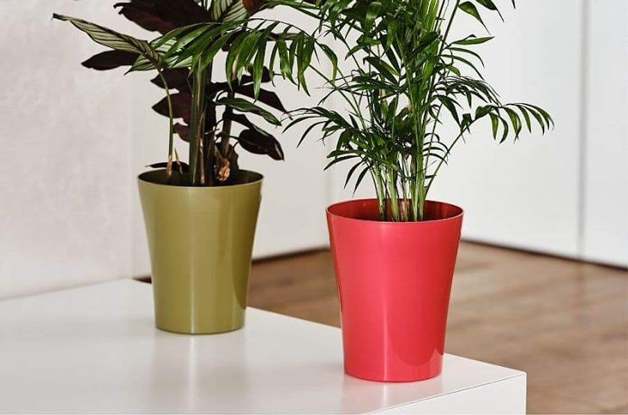 Vaso cilindro "Orchidea colour" per esterno e giardino per piante e fiori Giardino e giardinaggio/Attrezzi da giardino e attrezzature per l'irrigazione/Vasi e accessori per piante/Vasi tradizionali Decor Space - Altamura, Commerciovirtuoso.it