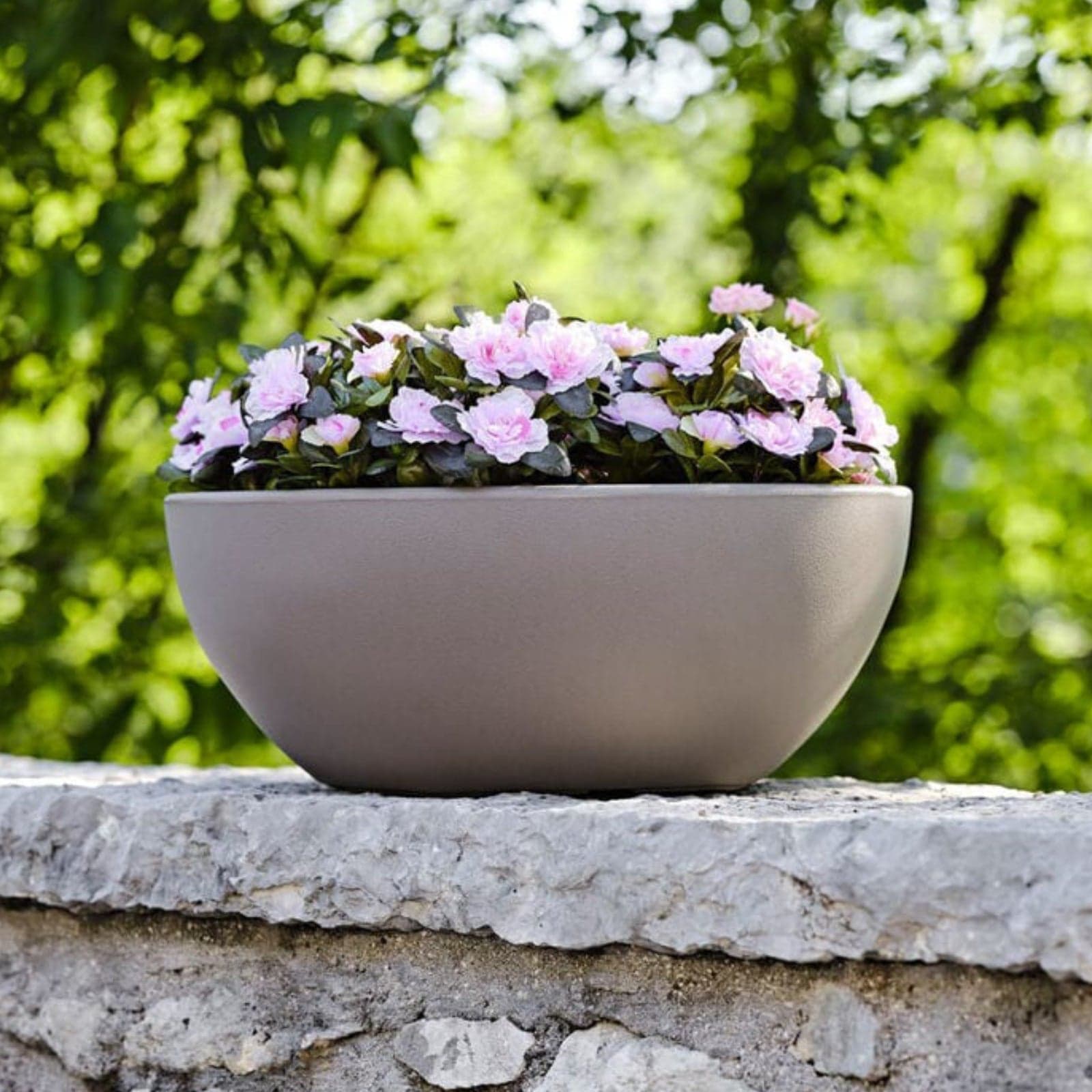 Vaso ciotola "Era" in plastica da esterno per piante e fiori in Vasi tradizionali Decor Space - Altamura, commercioVirtuoso.it
