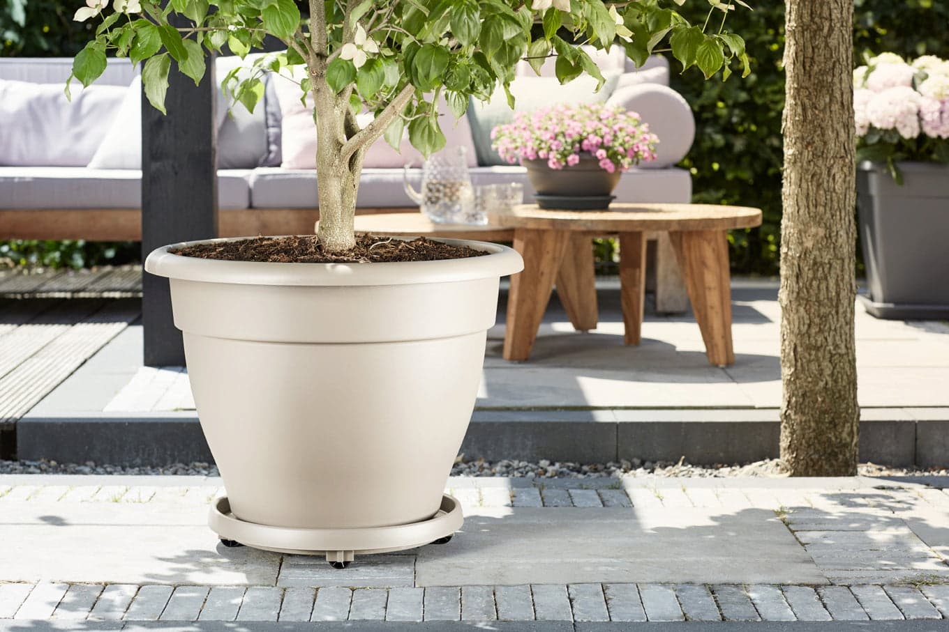 Sottovaso con ruote "Universal Planttaxi" per spostamento vasi in Sottovasi Decor Space - Altamura, commercioVirtuoso.it