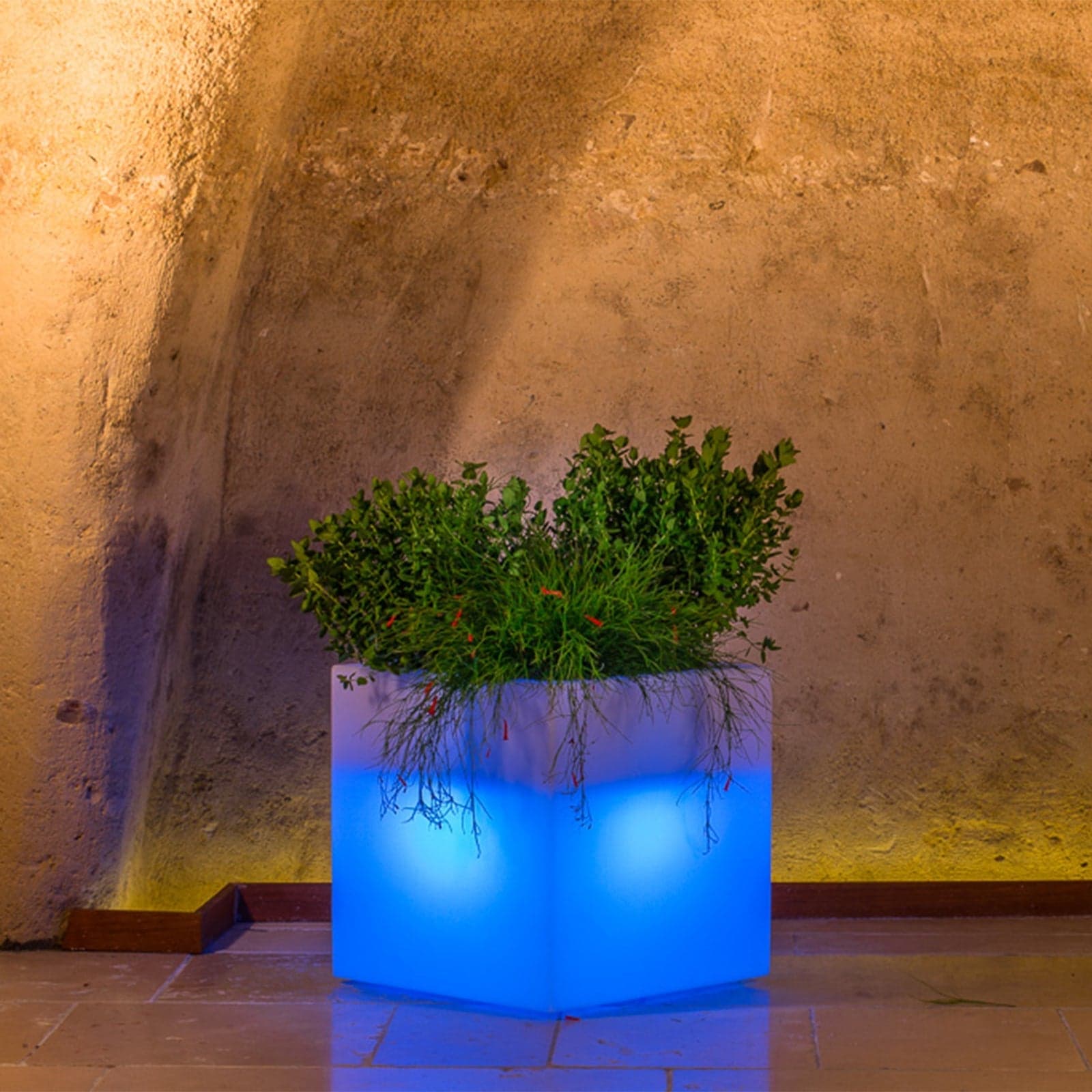 Vaso luminoso Cube per decorazione esterno e giardino "Made in Italy" in Vasi tradizionali Decor Space - Altamura, commercioVirtuoso.it