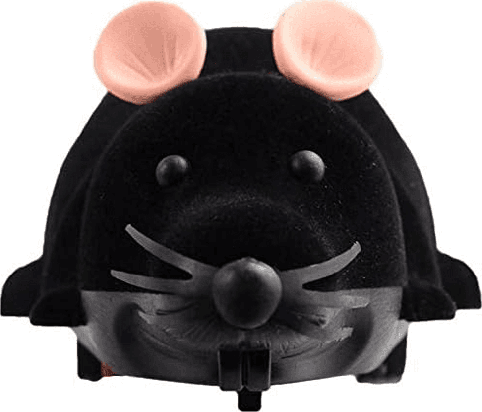 GIOCO TOPO TELECOMANDATO RATTO PER BAMBINI SCHERZO GATTO TOPOLINO TELECOMANDO - 2