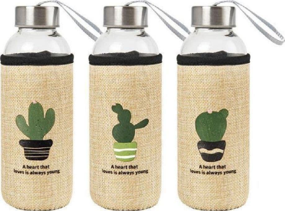 BORRACCIA DI VETRO BOTTIGLIA 400ML CON COPRIBOTTIGLIA FANTASIE CACTUS ASS 221428 - 3