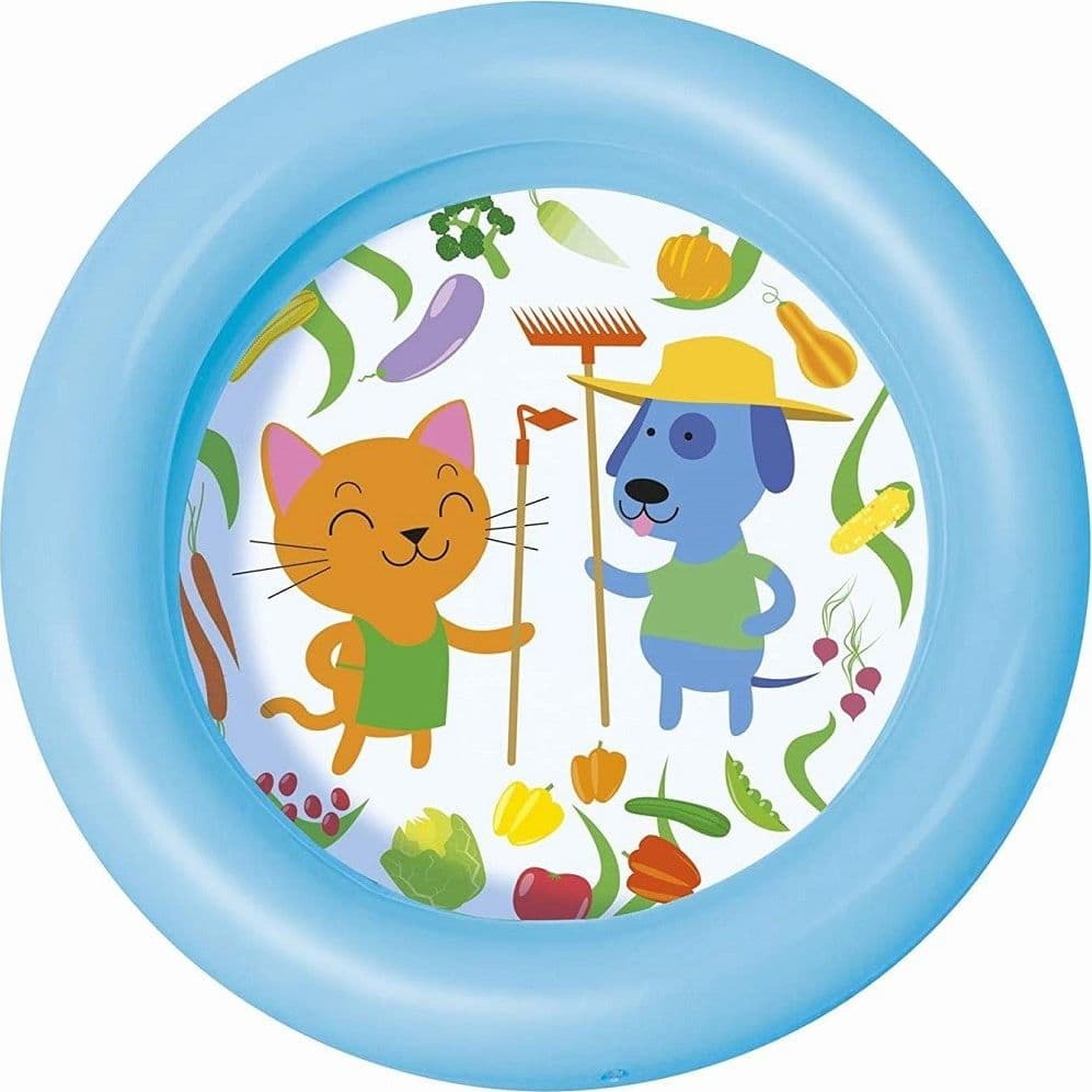 PISCINA PER BAMBINI 2 ANNI+ BABY 2 ANELLI FONDO DISEGNATO 61X15CM 2 COLORI 51061 - 9