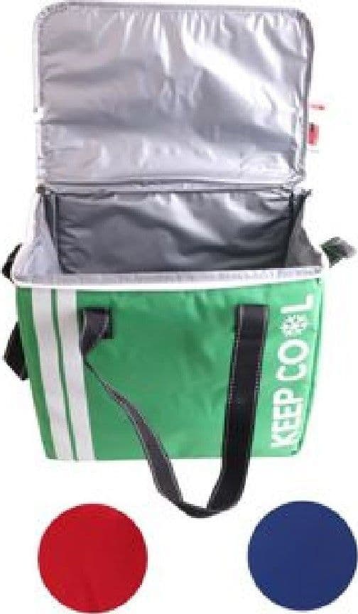 BORSA TERMICA FRIGO 32X22X27 CM PORTA ALIMENTI PRANZO 19 LT SPIAGGIA MARE 15300 - 2