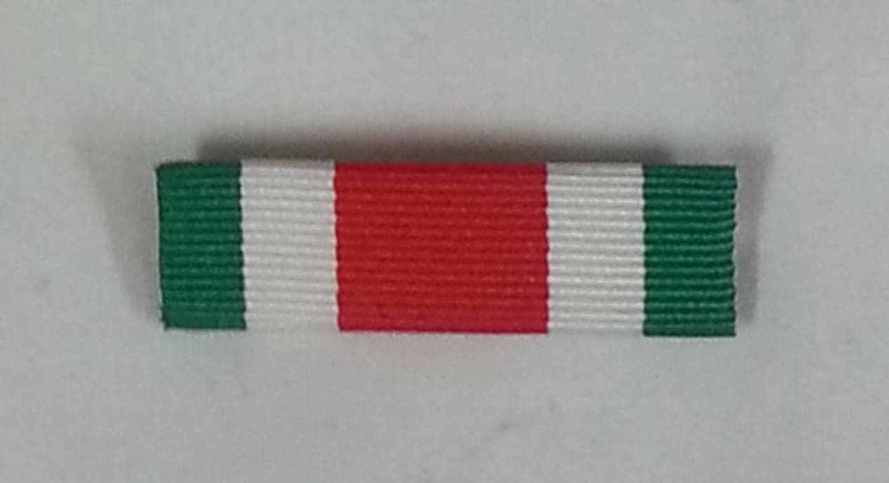 Interventi di Pubbliche Calamità - Nastro / nastrino / medaglia - 11