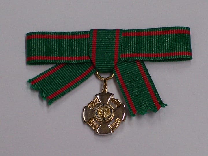 Cavaliere Ordine della Repubblica donna - 9