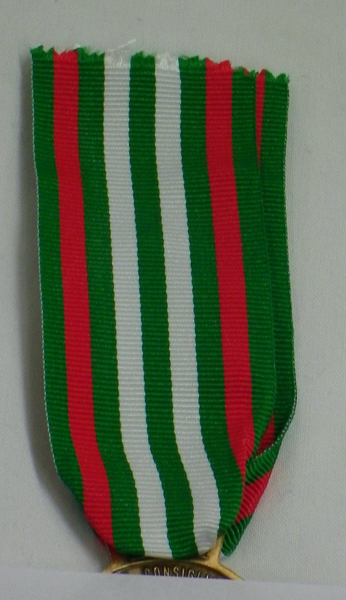 Terremoto Marche Umbria - Nastro / nastrino / medaglia - 5