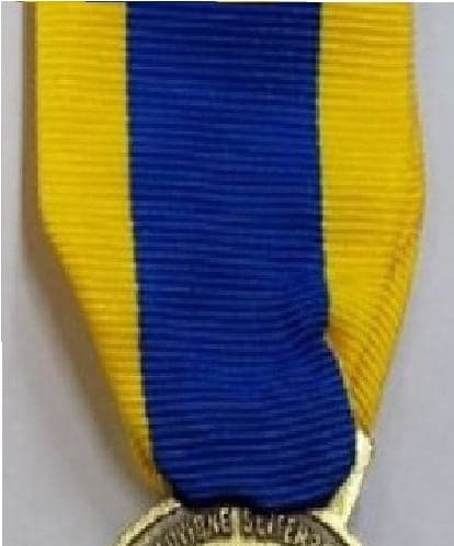Nastro per medaglia Alluvione del Po - 2