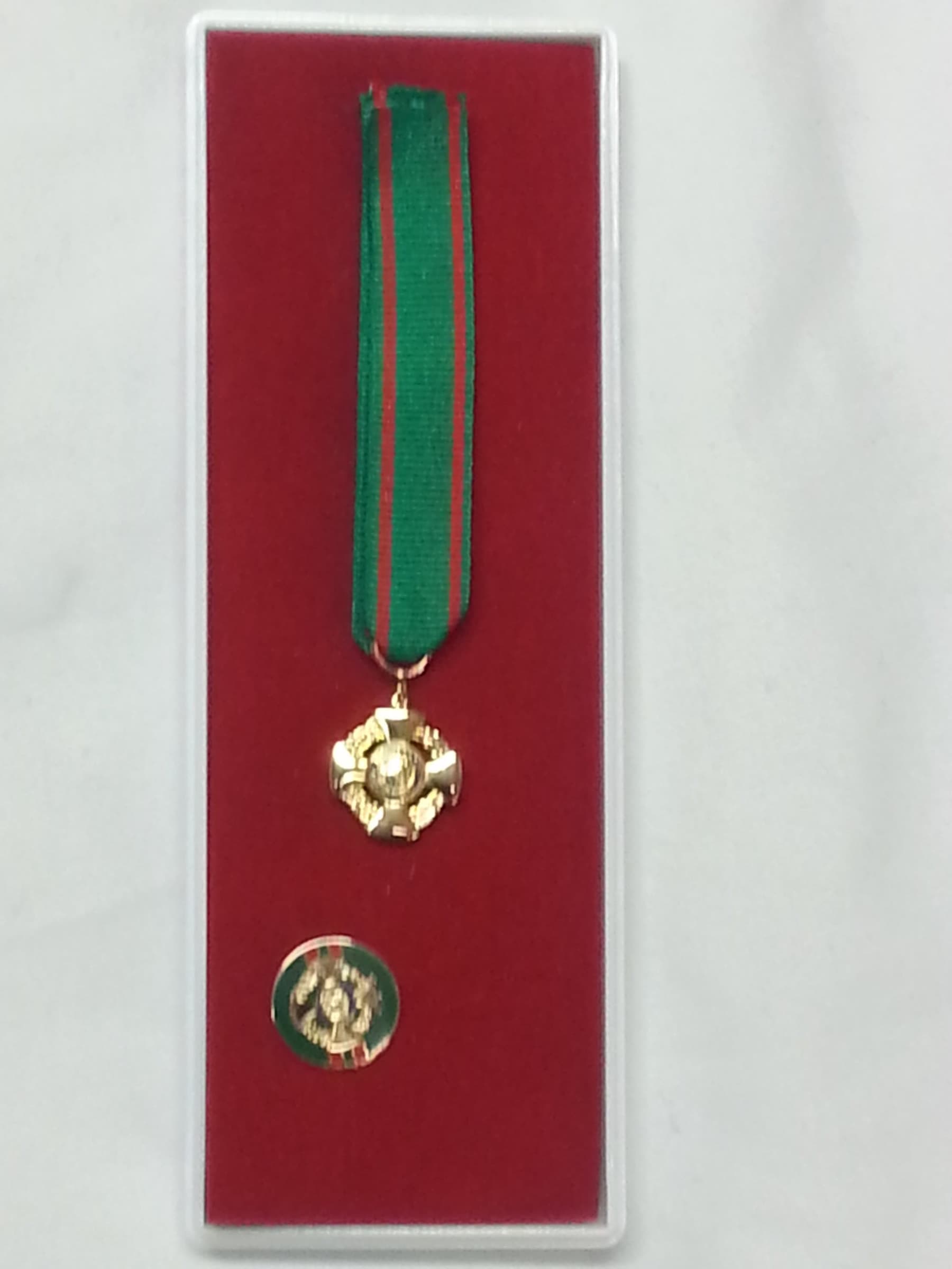 Medaglia / spilla da giacca / nastrino da petto per Ufficiale Ordine della Repubblica - 5