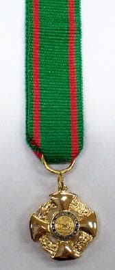 Medaglia / spilla da giacca / nastrino da petto per Ufficiale Ordine della Repubblica - 7