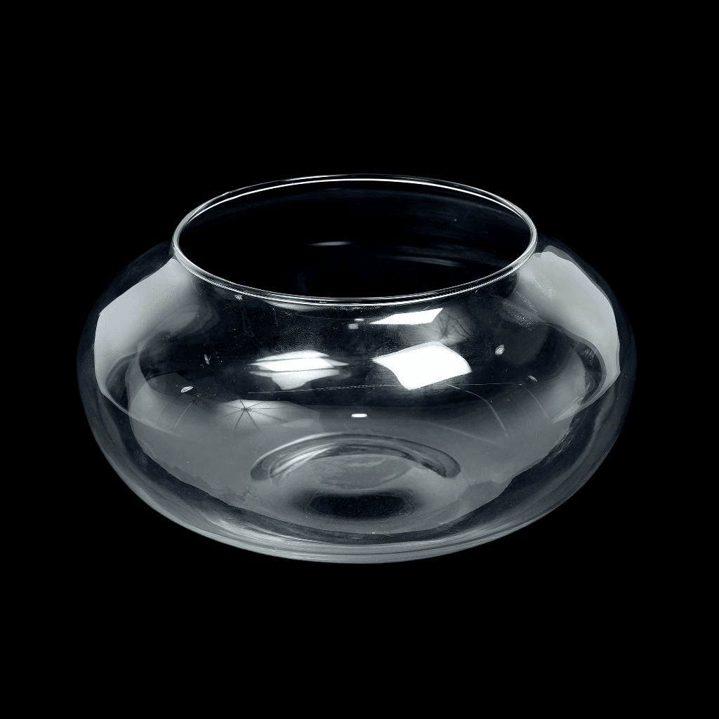Vaso trasparente in vetro per fiori e piante, decorazione da interno ed esterno, 18 x h 8 cm in Vasi tradizionali Decor Space - Altamura, commercioVirtuoso.it