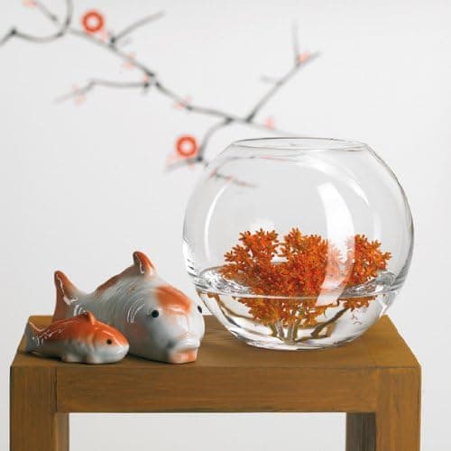 Boccia per pesci in vetro trasparente, recipiente a forma di sfera per piante da 30 cm in Soprammobili Decor Space - Altamura, commercioVirtuoso.it