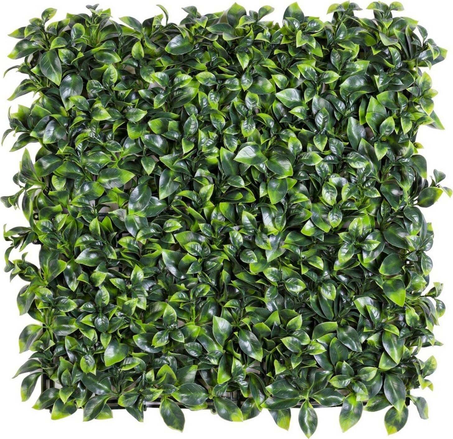 Parete sintetica decorativa, resistente ai raggi UV e alle intemperie, in polietilene Giardino e giardinaggio/Decorazioni per il giardino/Erba artificiale Decor Space - Altamura, Commerciovirtuoso.it