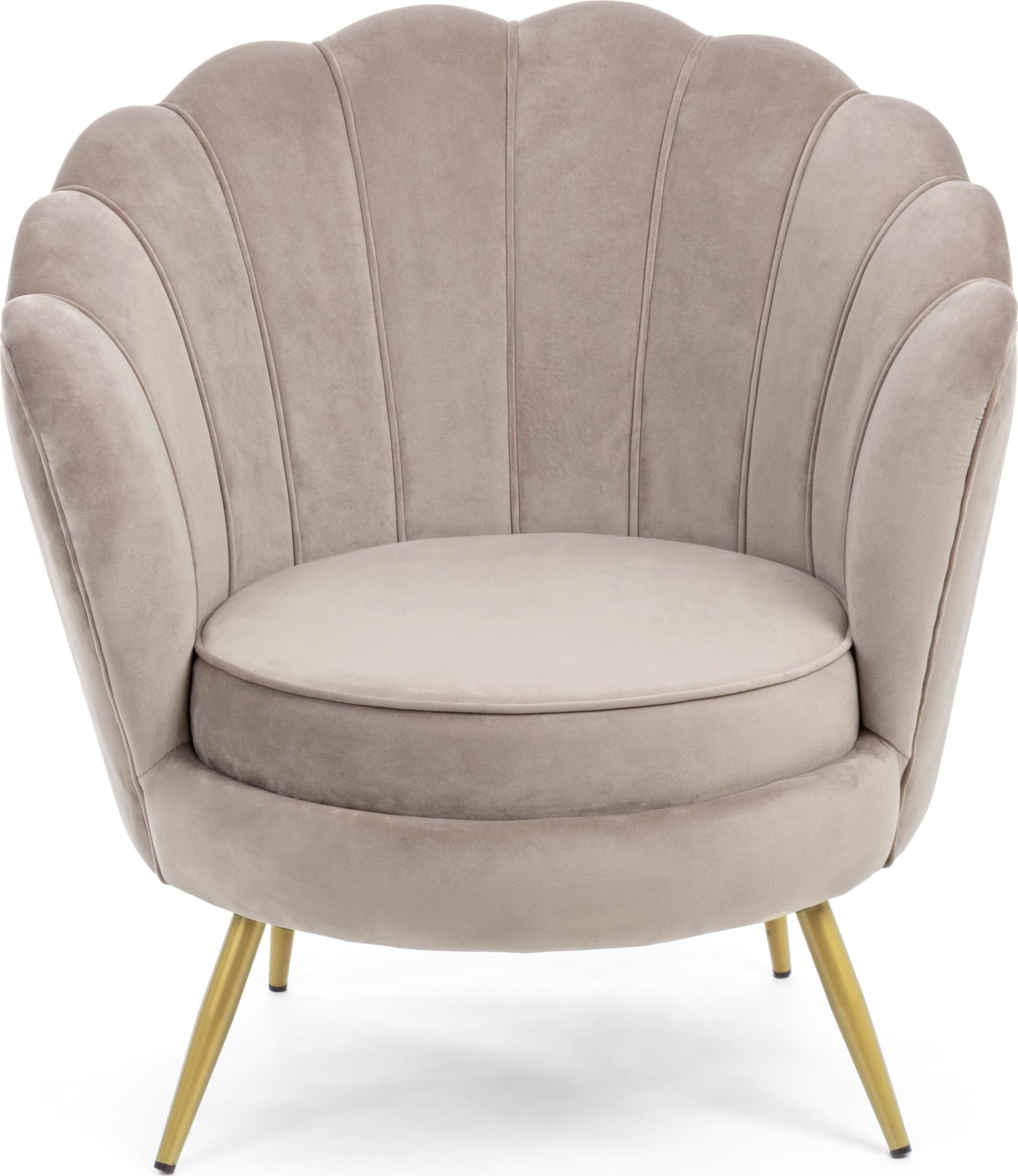 Poltrona a conchiglia "Gigliola" in velluto anticato h 77 cm arredamento salotto moderno in Poltrone Decor Space - Altamura, commercioVirtuoso.it