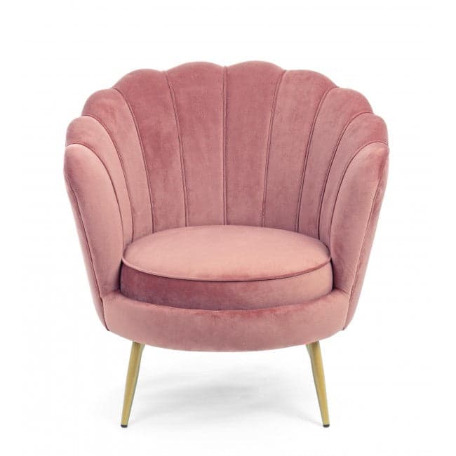 Poltrona a conchiglia "Gigliola" in velluto anticato h 77 cm arredamento salotto moderno in Poltrone Decor Space - Altamura, commercioVirtuoso.it