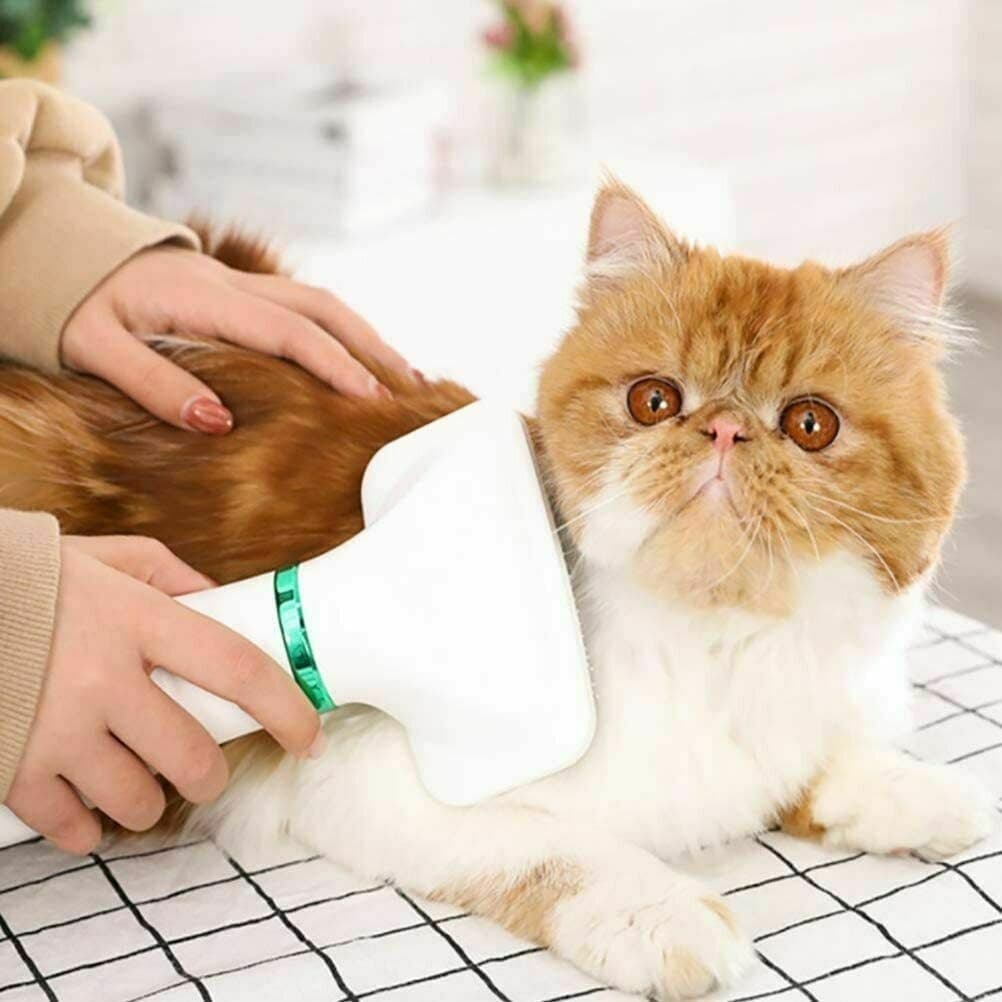 Spazzola Asciugatrice Elettrica 2in1 Toelettatura Animali Domestici Cani Gatti - 3