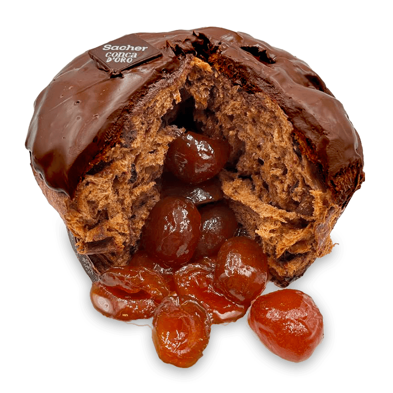 Pancòdoro Sacher - 2