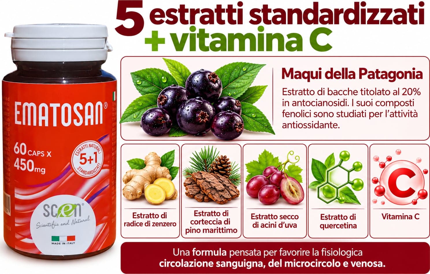 Ematosan - Scen - estratti NATURALI utili per favorire una ottimale circolazione sanguigna del microcircolo e venosa ed il mantenimento della salute cardiovascolare in Zenzero Scen Scientific and Natural - Poggibonsi, commercioVirtuoso.it
