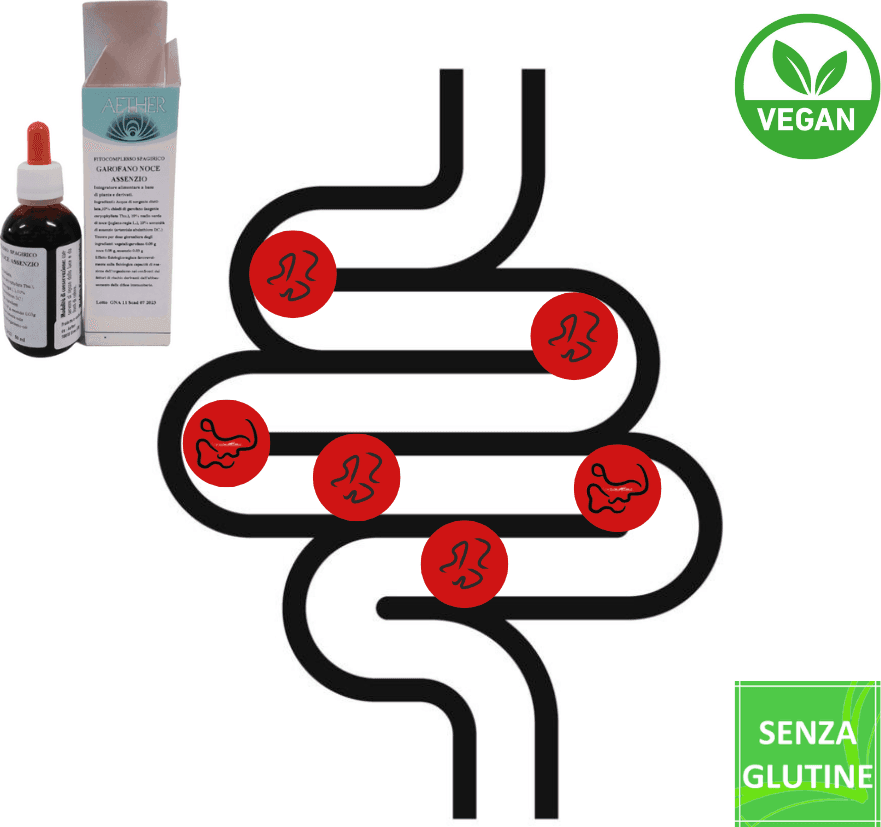 Scen-Fitocomplesso con estratti di Garofano-Noce-Assenzio per la parassitosi intestinale, senza alcool, preparazione spagirica in Rimedi omeopatici Scen Scientific and Natural - Poggibonsi, commercioVirtuoso.it