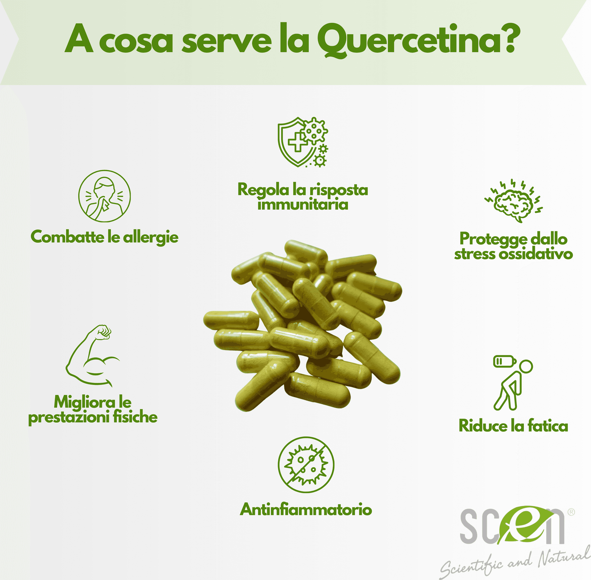 Elkopur Force Quercetina pura, 120 capsule da 500 mg. con 200 mg. di Quercetina titolata 98% in Quercetina, Vegetarian e Vegan ok, Rinforza il sistema immunitario, Antiossidante, prodotto in Italia - 17