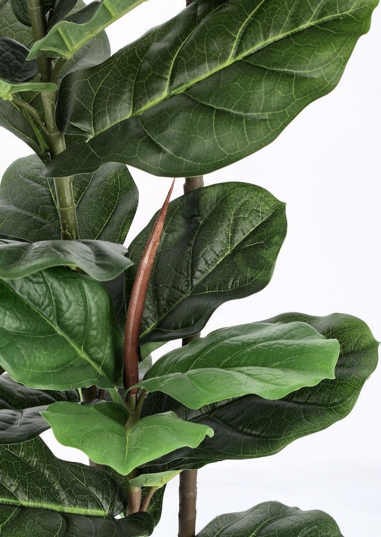 Pianta artificiale "Ficus Lyrata" con vaso in plastica nero, con foglie in gomma in Piante artificiali Decor Space - Altamura, commercioVirtuoso.it