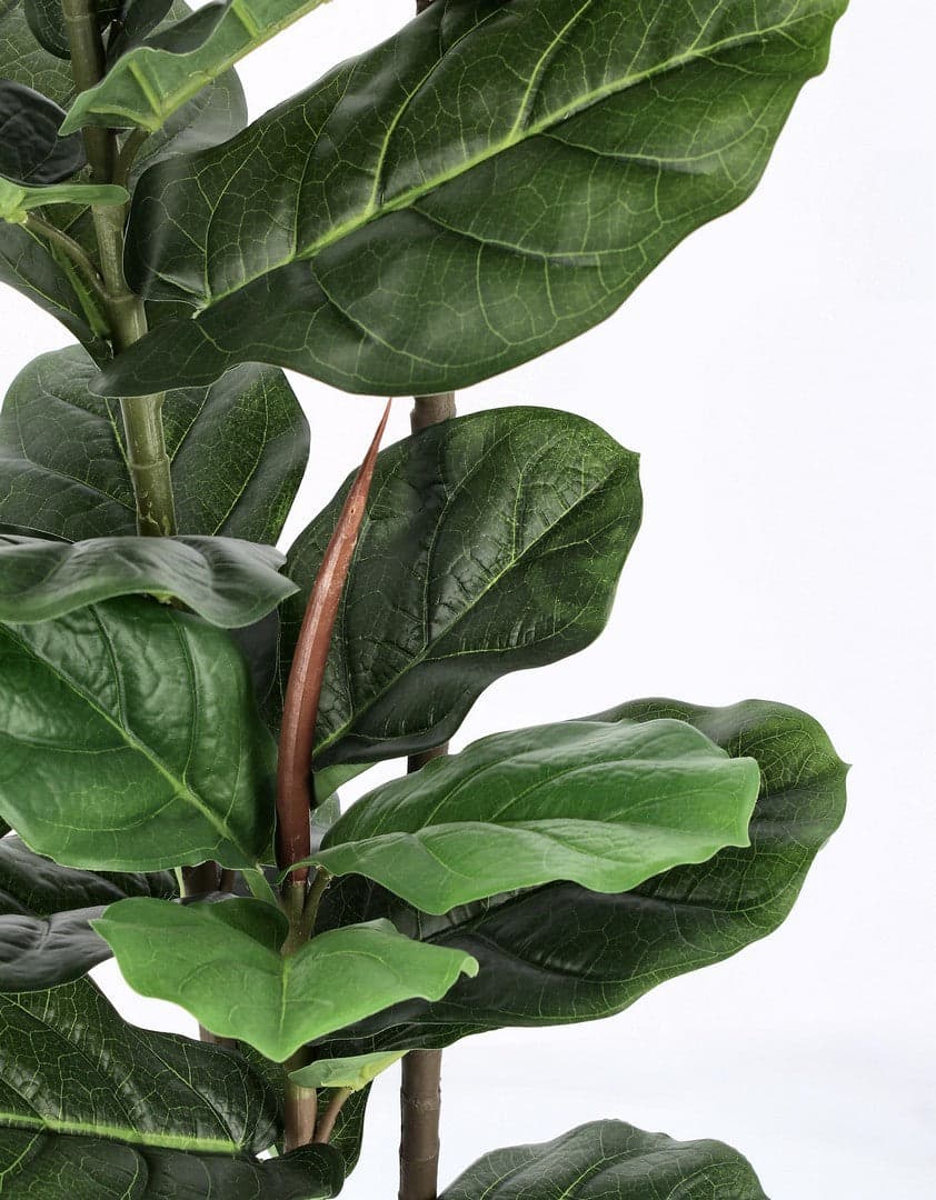 Pianta artificiale "Ficus Lyrata" con vaso in plastica nero, con foglie in gomma in Piante artificiali Decor Space - Altamura, commercioVirtuoso.it