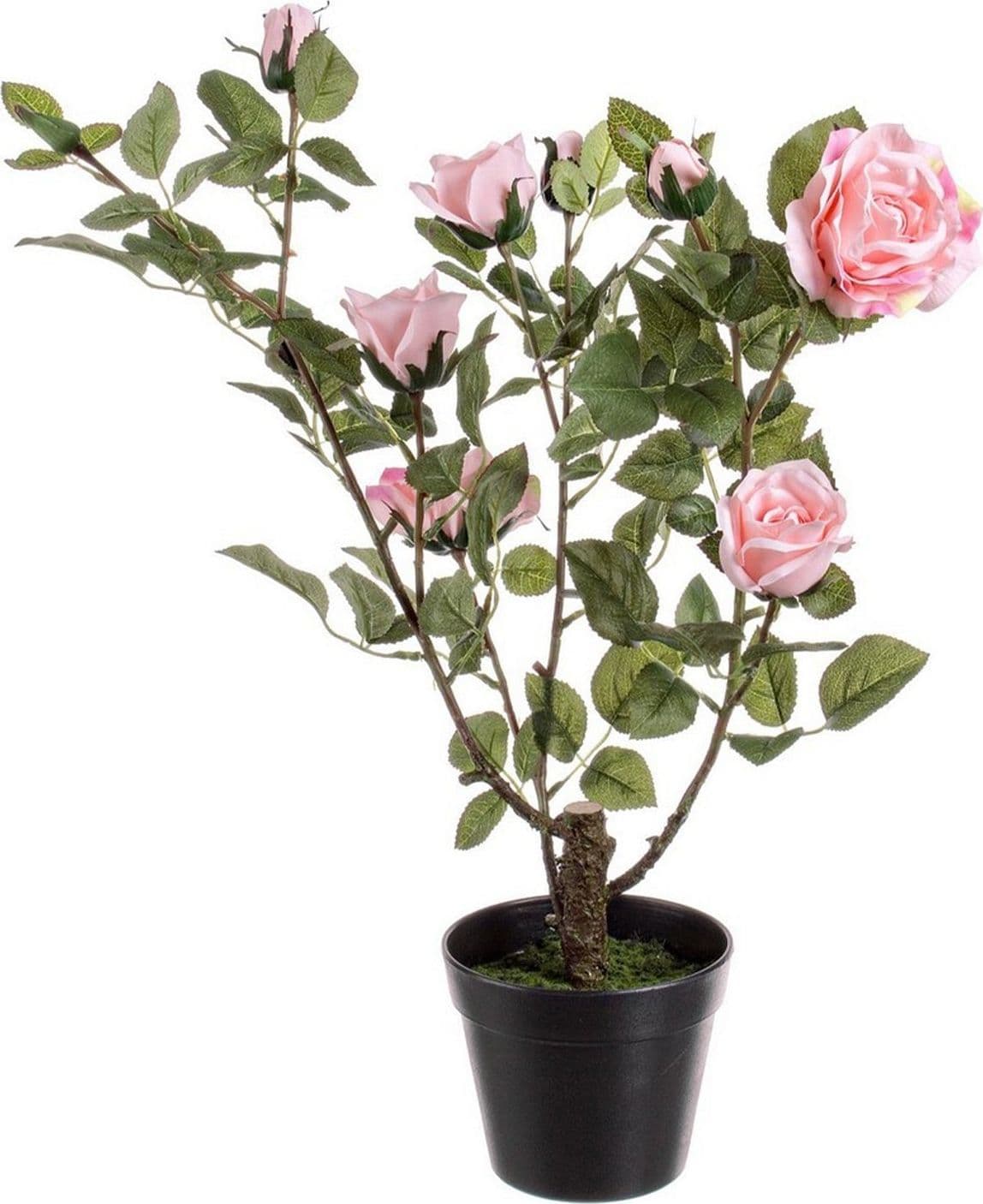 Pianta artificiale "Isabel" con rose rosse, tronco naturale, 51x39x66h cm in Piante artificiali Decor Space - Altamura, commercioVirtuoso.it