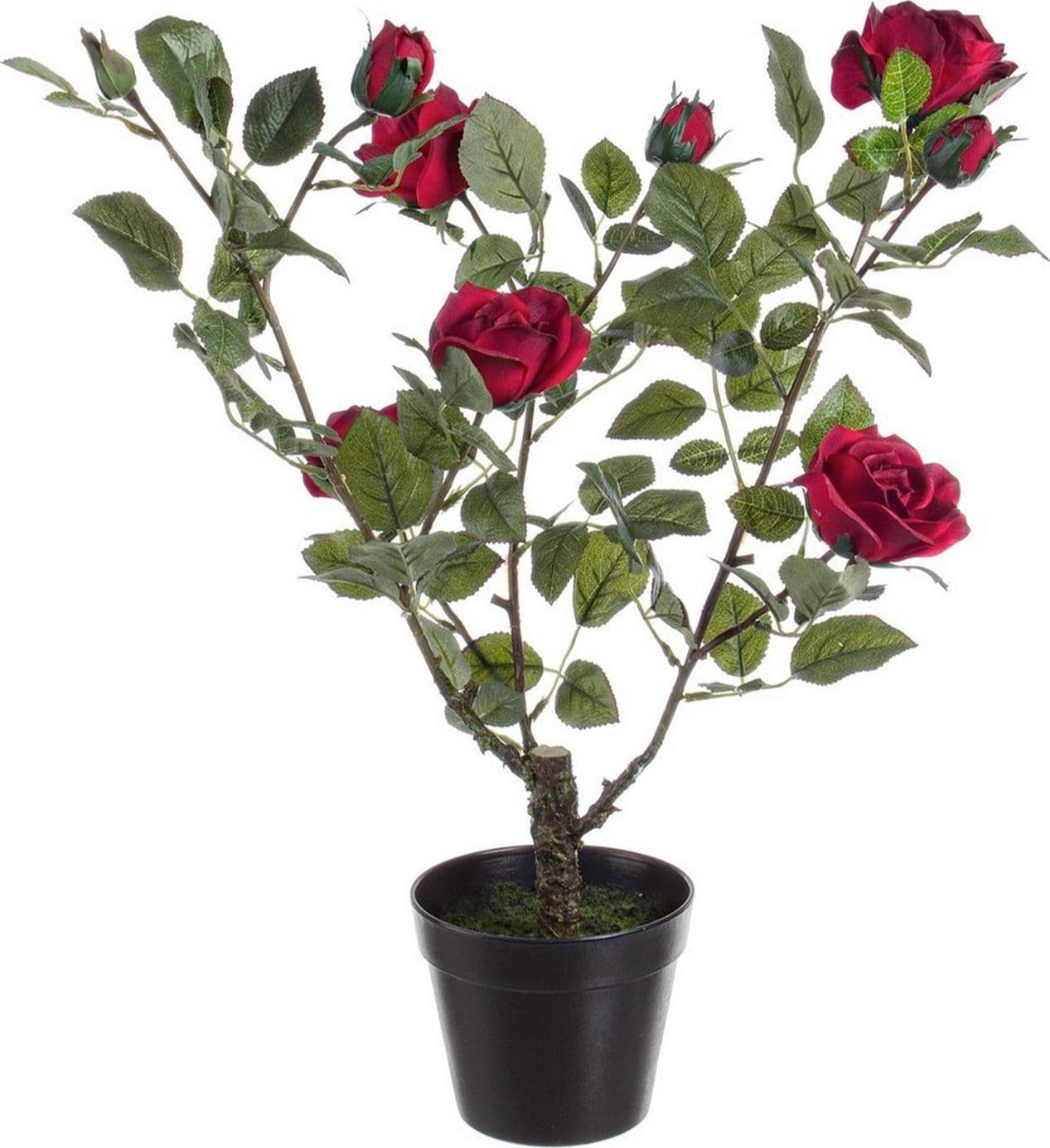 Pianta artificiale "Isabel" con rose rosse, tronco naturale, 51x39x66h cm in Piante artificiali Decor Space - Altamura, commercioVirtuoso.it