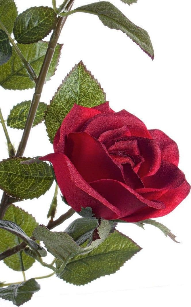 Pianta artificiale "Isabel" con rose rosse, tronco naturale, 51x39x66h cm in Piante artificiali Decor Space - Altamura, commercioVirtuoso.it