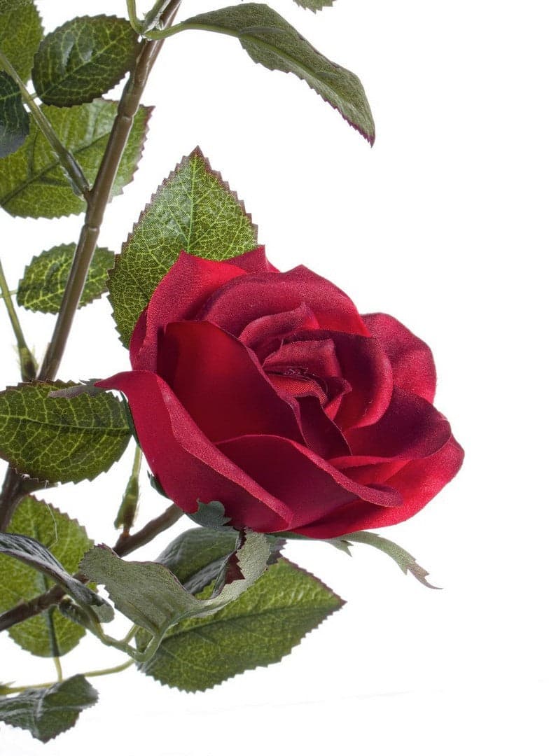 Pianta artificiale "Isabel" con rose rosse, tronco naturale, 51x39x66h cm in Piante artificiali Decor Space - Altamura, commercioVirtuoso.it