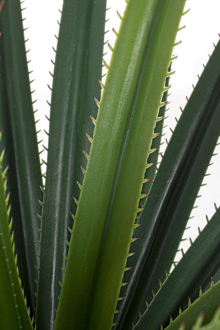 Pianta artificiale "Ruscaceae" da 28 foglie, con vaso in plastica, 90 cm in Piante artificiali Decor Space - Altamura, commercioVirtuoso.it