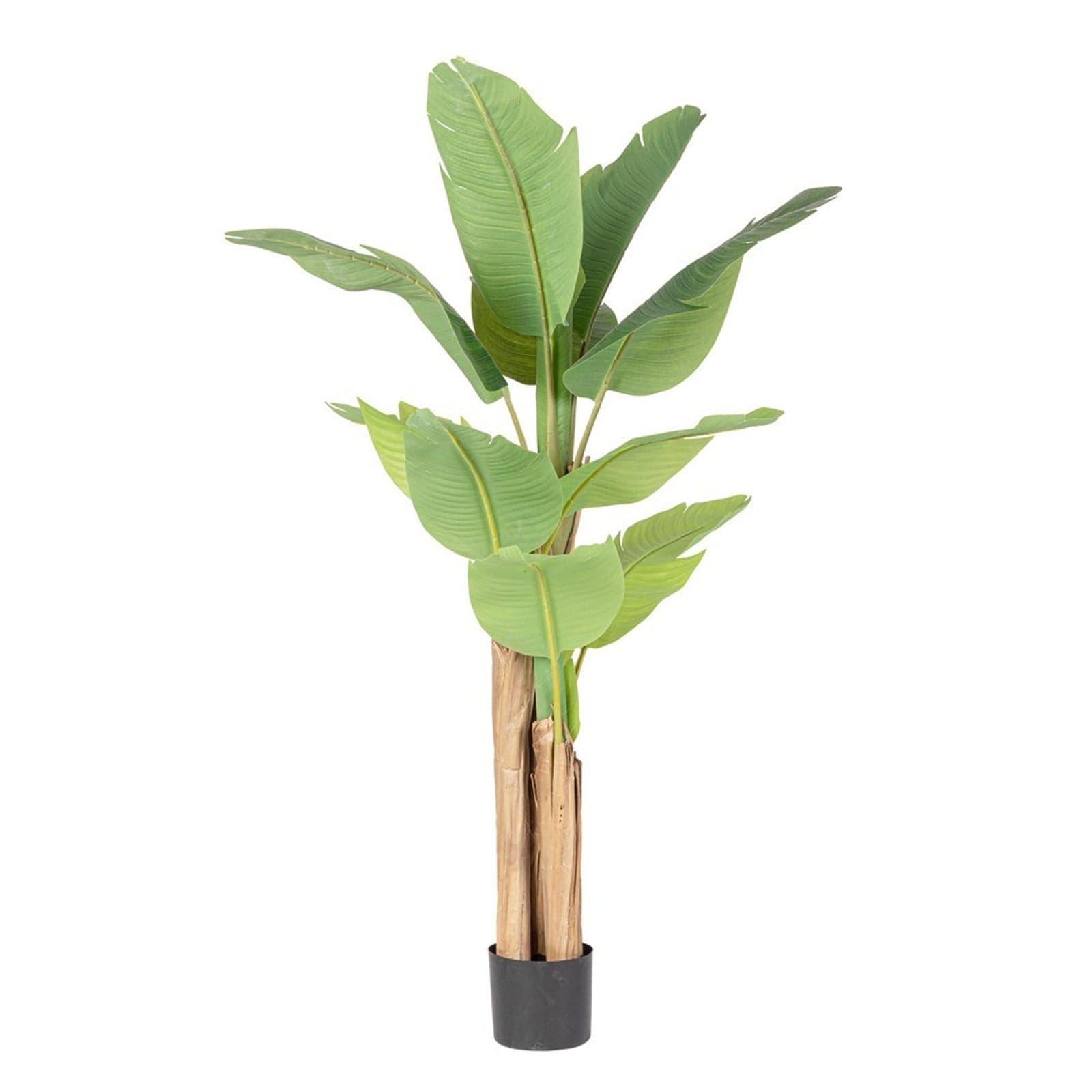 Pianta artificiale "Banano" con vaso nero, foglie in gomma, realistica in Piante artificiali Decor Space - Altamura, commercioVirtuoso.it