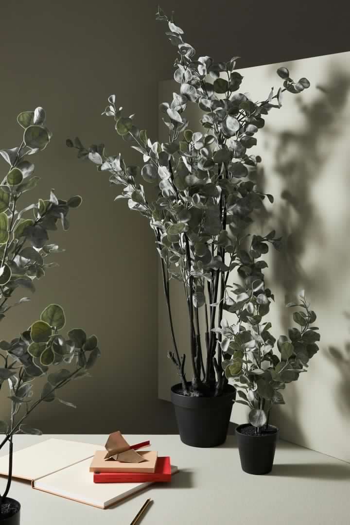 Pianta artificiale "Eucalipto" con vaso in plastica nera, alta qualità in Piante artificiali Decor Space - Altamura, commercioVirtuoso.it