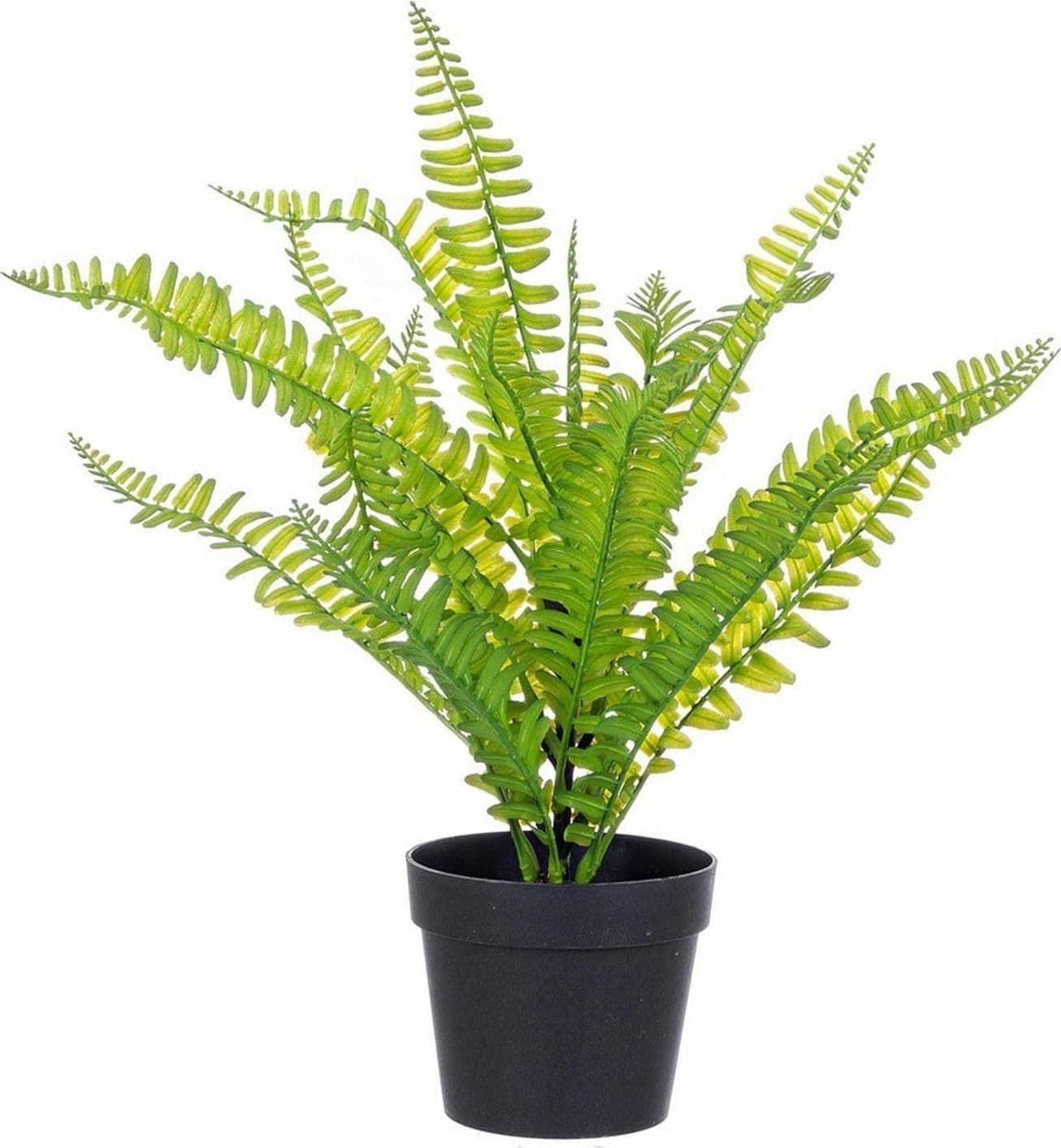 Pianta artificiale "Cyathea" per interno, in PE e fil di ferro, da 40 cm in Piante artificiali Decor Space - Altamura, commercioVirtuoso.it