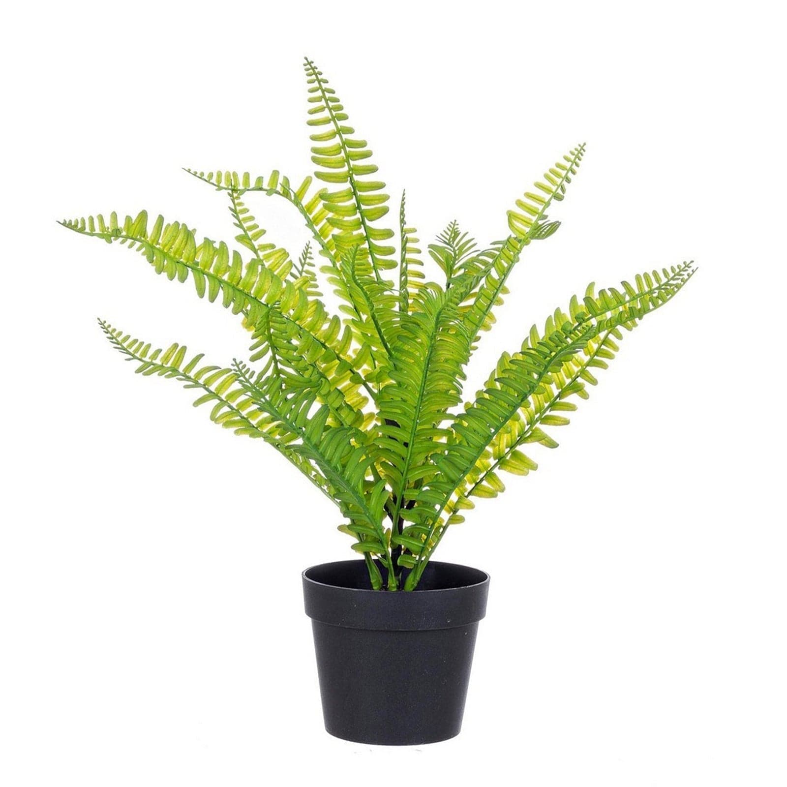 Pianta artificiale "Cyathea" per interno, in PE e fil di ferro, da 40 cm in Piante artificiali Decor Space - Altamura, commercioVirtuoso.it