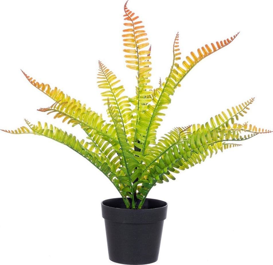 Pianta artificiale "Cyathea" per interno, in PE e fil di ferro, da 40 cm in Piante artificiali Decor Space - Altamura, commercioVirtuoso.it