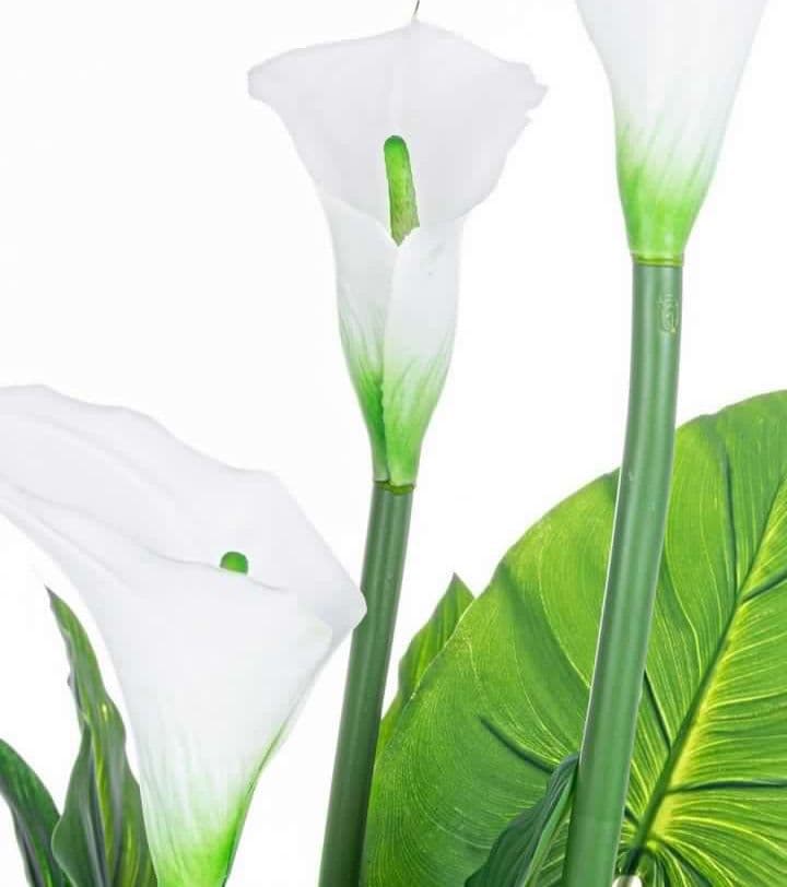 Pianta artificiale "Calla" con fiori bianchi 27 foglie da 100 cm in Piante artificiali Decor Space - Altamura, commercioVirtuoso.it