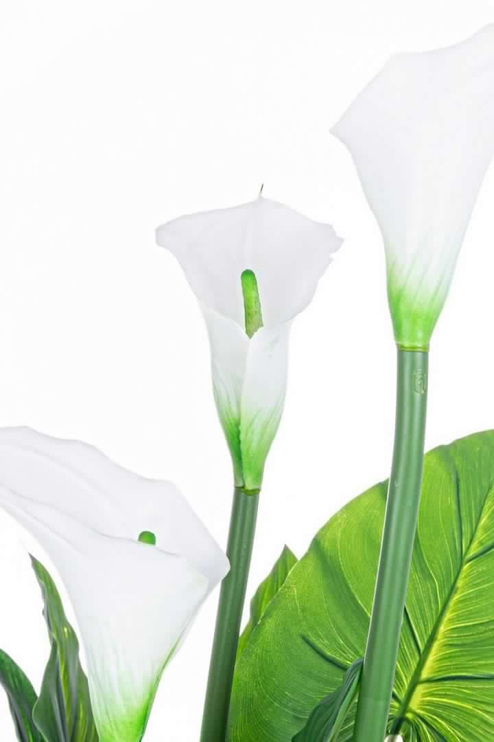 Pianta artificiale "Calla" con fiori bianchi 27 foglie da 100 cm in Piante artificiali Decor Space - Altamura, commercioVirtuoso.it