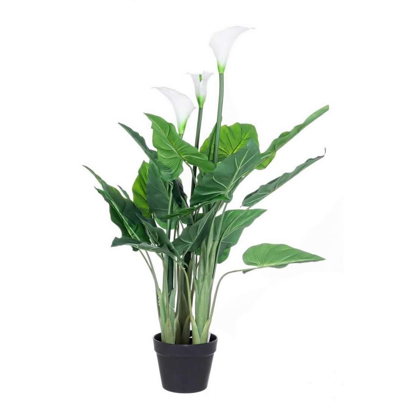 Pianta artificiale "Calla" con fiori bianchi 27 foglie da 100 cm in Piante artificiali Decor Space - Altamura, commercioVirtuoso.it