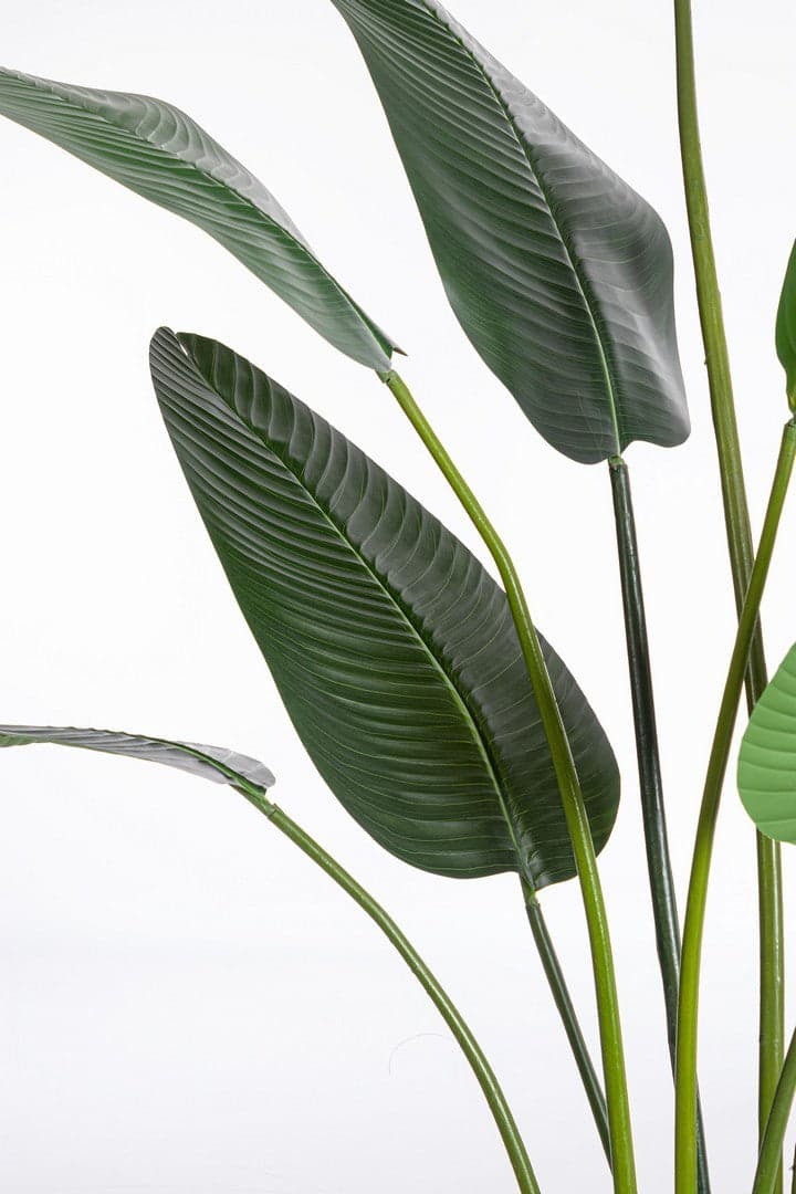 Pianta "Strelitzia" con vaso in plastica nero, foglie in gomma in Piante artificiali Decor Space - Altamura, commercioVirtuoso.it