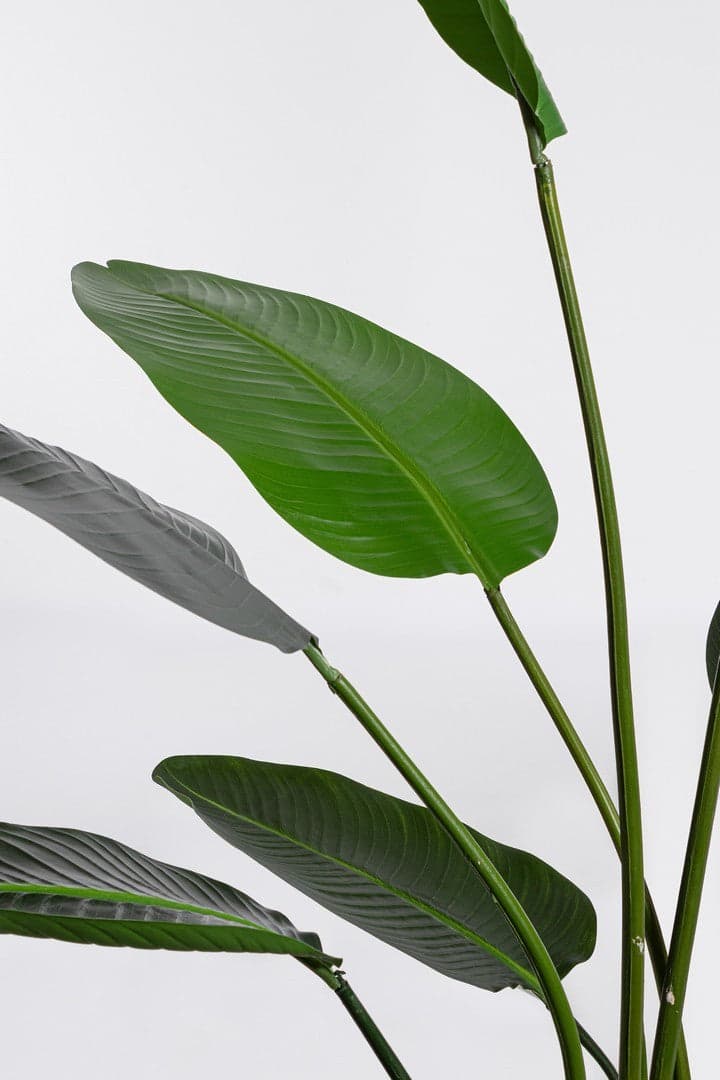 Pianta "Strelitzia" con vaso in plastica nero, foglie in gomma in Piante artificiali Decor Space - Altamura, commercioVirtuoso.it
