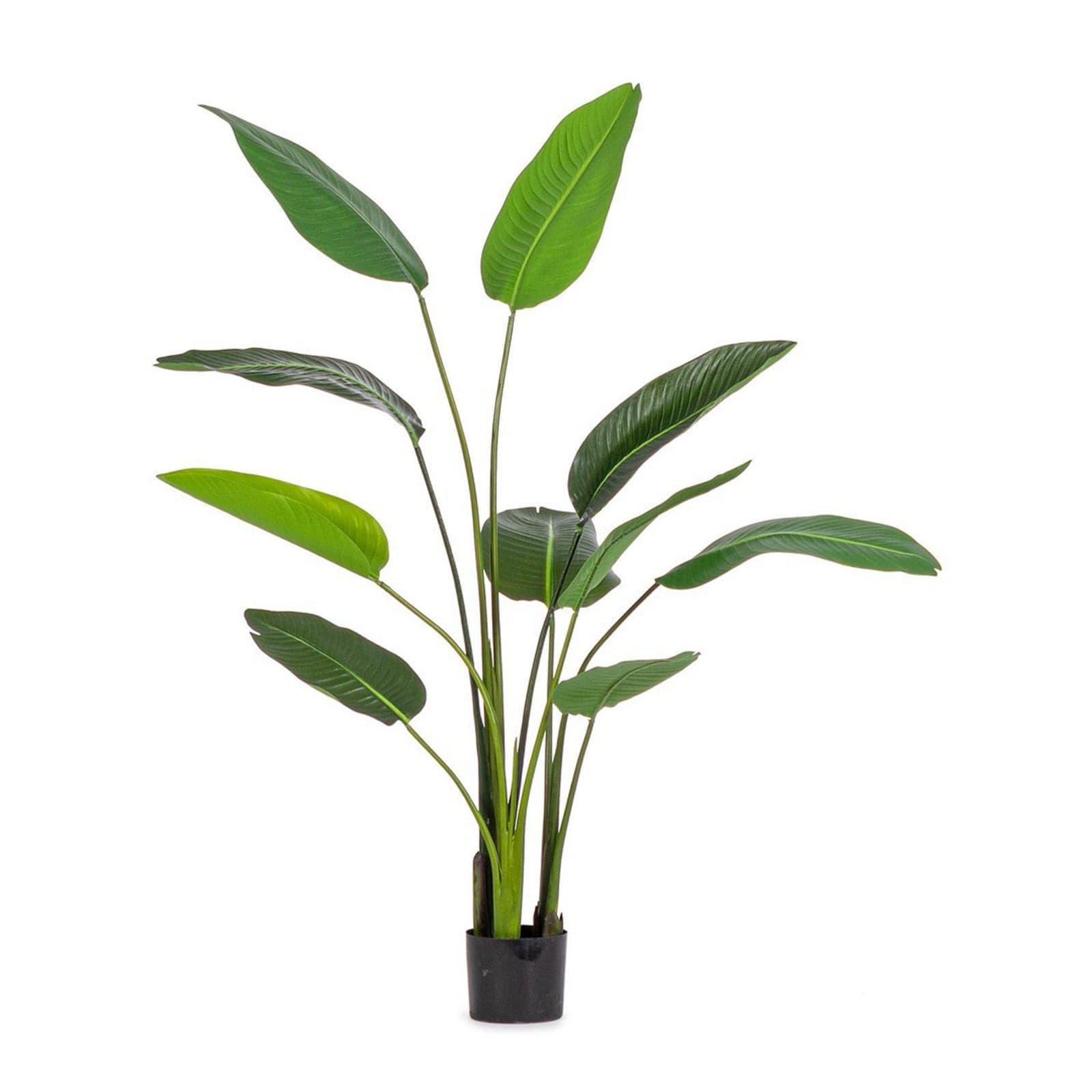 Pianta "Strelitzia" con vaso in plastica nero, foglie in gomma in Piante artificiali Decor Space - Altamura, commercioVirtuoso.it