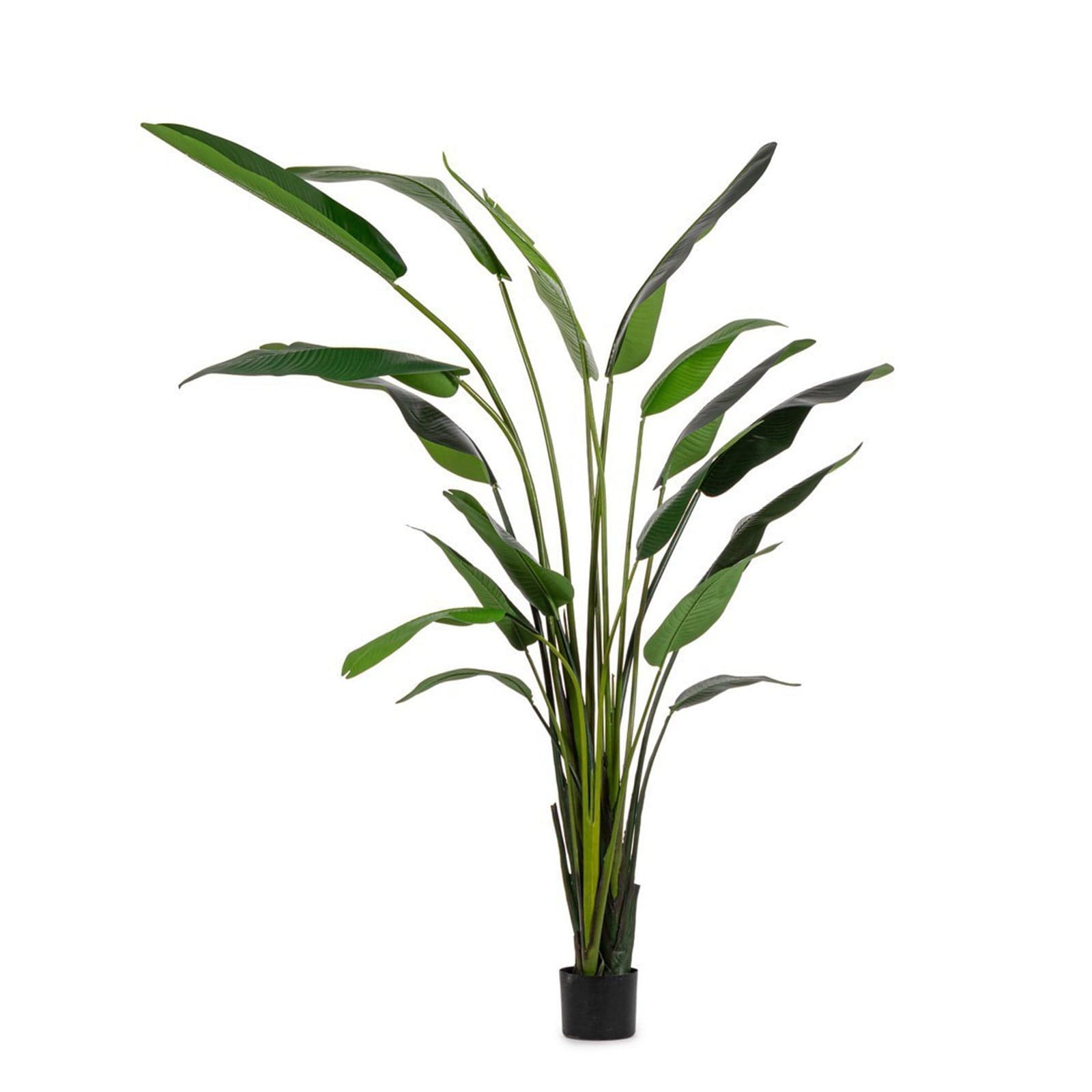 Pianta "Strelitzia" con vaso in plastica nero, foglie in gomma in Piante artificiali Decor Space - Altamura, commercioVirtuoso.it