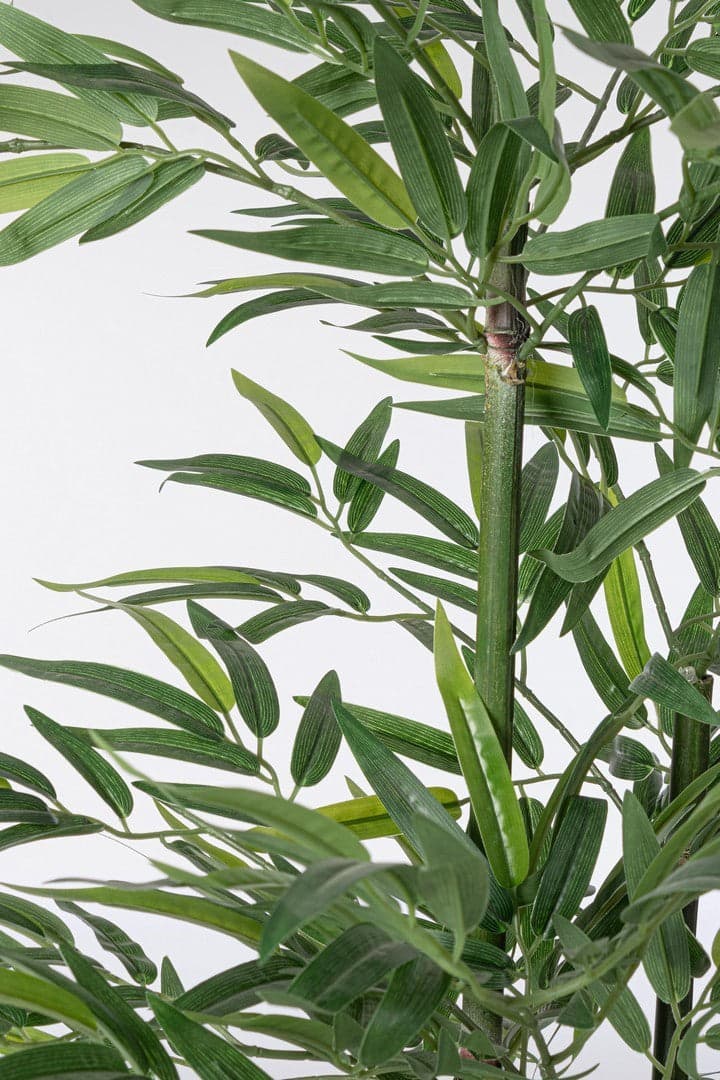 Pianta "Bamboo" con vaso in plastica nero, foglie in tessuto di raso in Piante artificiali Decor Space - Altamura, commercioVirtuoso.it