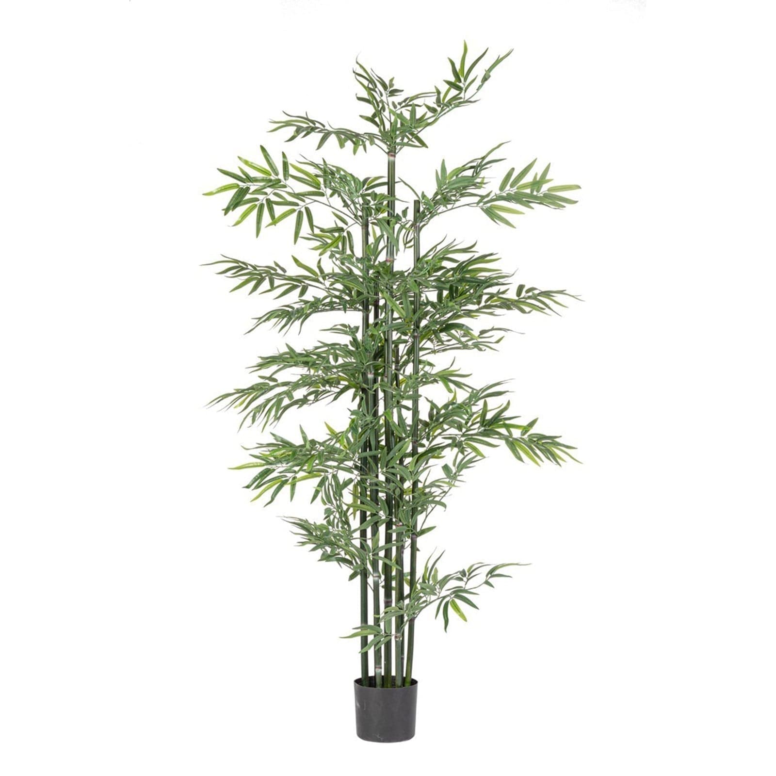 Pianta "Bamboo" con vaso in plastica nero, foglie in tessuto di raso in Piante artificiali Decor Space - Altamura, commercioVirtuoso.it